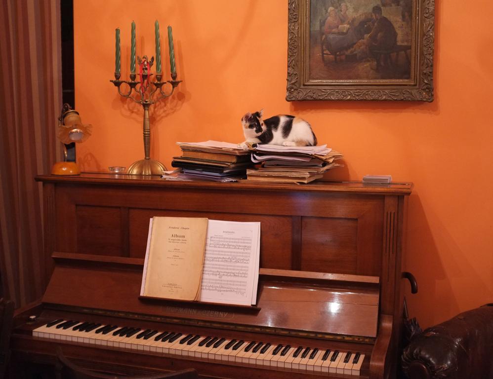 Piano Guest House Krasków Eksteriør bilde